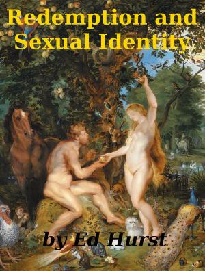 Book cover of Redemption and Sexual Identity