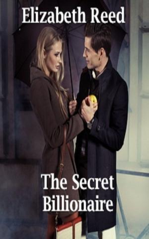 Cover of the book The Secret Billionaire by Jeffrey Allen Davis