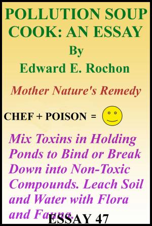 Cover of the book Pollution Soup Cook: An Essay by Edward E. Rochon