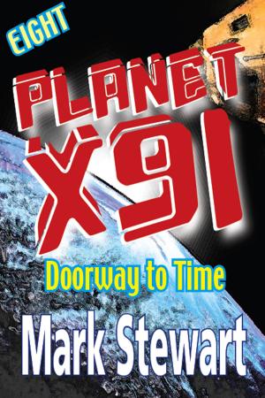 Cover of the book Planet X91 Doorway To Time by Mark Stewart