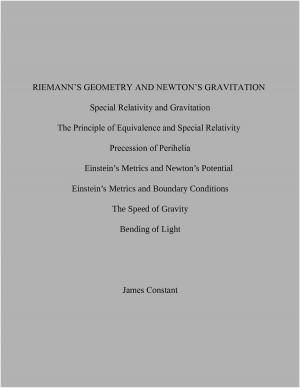 Book cover of Riemann's Geometry and Newton's Gravitation