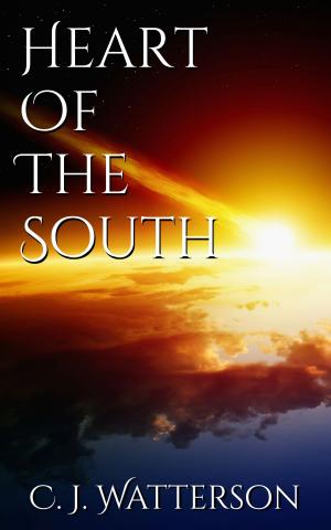 bigCover of the book Heart of the South by 