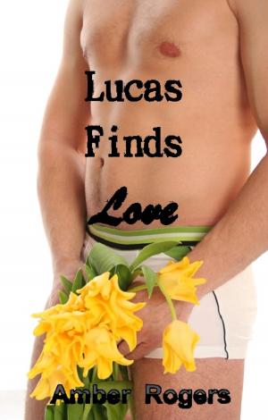 bigCover of the book Lucas Finds Love by 