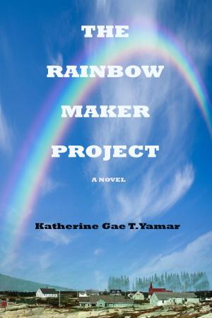 Cover of the book The Rainbow Maker Project by Dony Jay