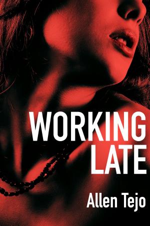 Cover of the book Working Late by Cindy McDermott