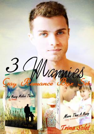 Cover of 3 Mannies: Gay Romance Box Set
