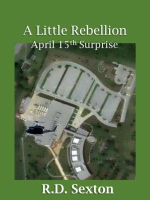 Cover of the book A Little Rebellion: April 15th Surprise by George Harmon Coxe