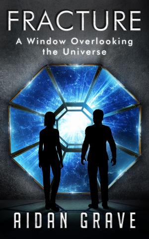 bigCover of the book Fracture: A Window Overlooking the Universe by 