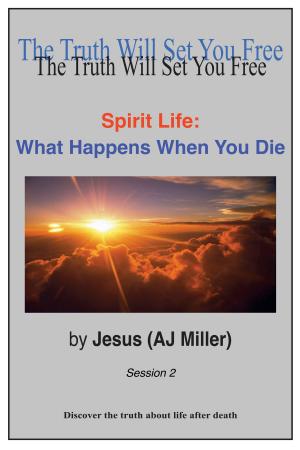 bigCover of the book Spirit Life: What Happens When You Die Session 2 by 