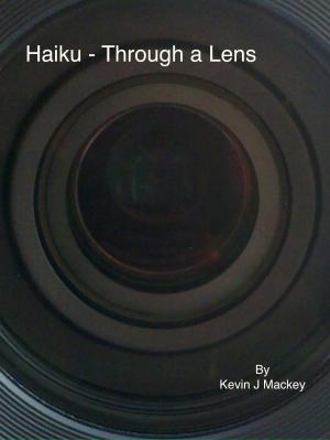Book cover of Haiku: Through a Lens