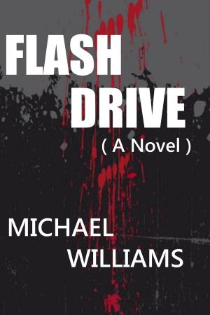Cover of the book Flash Drive by P.S. Meronek