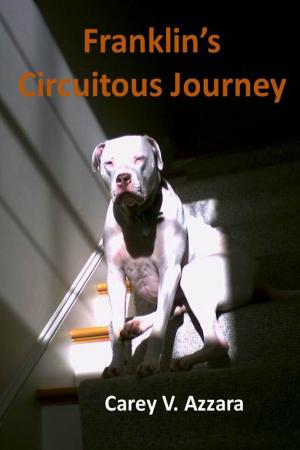 Book cover of Franklin's Circuitous Journey