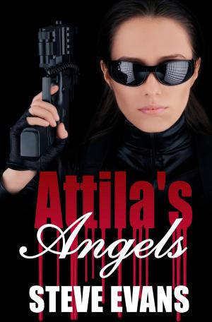Cover of the book Attila's Angels by Alan Meyers Starkey