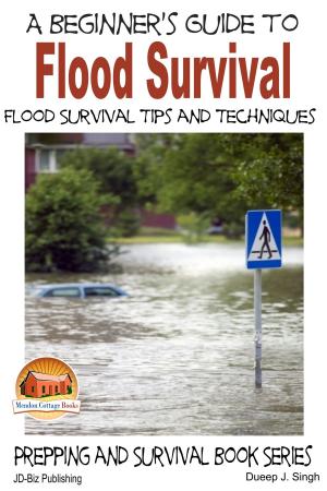 Cover of the book A Beginner's Guide to Flood Survival: Flood Survival Tips and Techniques by Darla Noble