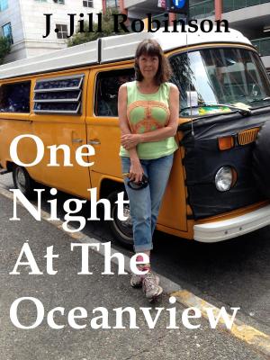 Book cover of One Night At The Oceanview