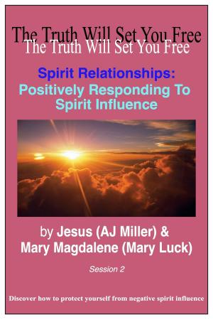 Book cover of Spirit Relationships: Positively Responding to Spirit Influence Session 2