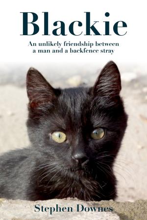 Book cover of Blackie: an Inspirational Love Story about a Writer and his Battle to Save his Pet Cat