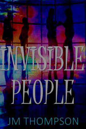 Book cover of Invisible People