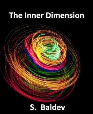 Book cover of The Inner Dimension