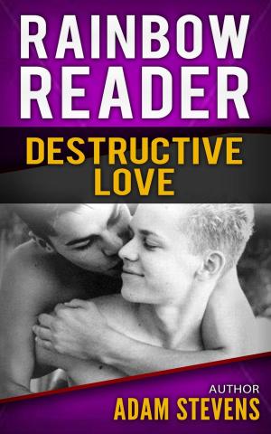 Book cover of Rainbow Reader Purple: Destructive Love