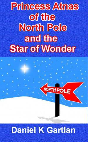 Cover of the book Princess Atnas of the North Pole and the Star of Wonder by John Wagner