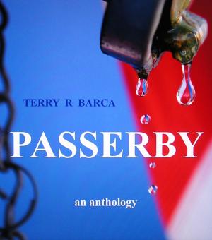 Cover of the book Passerby by Terry R Barca