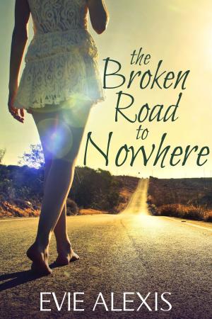 Cover of the book The Broken Road to Nowhere by Cynthia P. ONeill