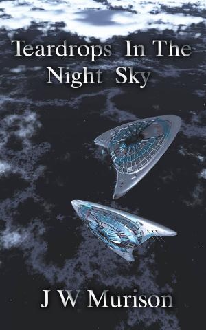 Cover of the book Teardrops in The Night Sky by Patricia Polacco