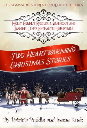 Book cover of Two Heartwarming Christmas Stories: Molly Gumnut Rescues a Bandicoot by Patricia Puddle and Jasmine Lane’s Enchanted Christmas by Irene Kueh.