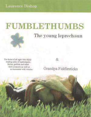 Cover of the book Fumblethumbs – The Young Leprechaun by Paul Edwards