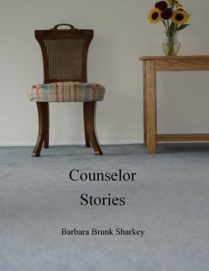 Cover of the book Counselor Stories by Elise Marriott, Darren Garroway, Sandrine Bessancort