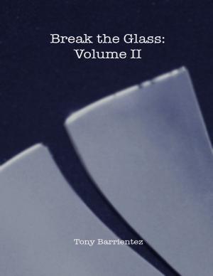 Book cover of Break the Glass Volume 2