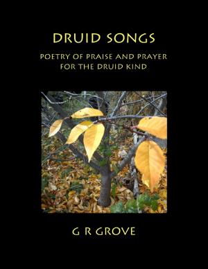 Cover of the book Druid Songs: Poetry of Prayer and Praise for the Druid Kind by Lucifur Morningpaw