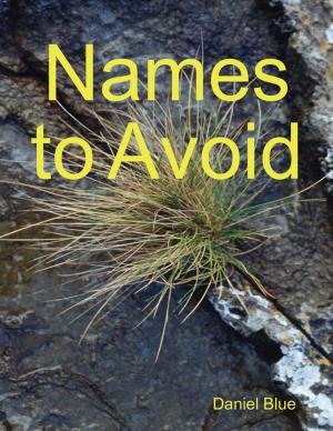 Cover of the book Names to Avoid by Chris Stralyn