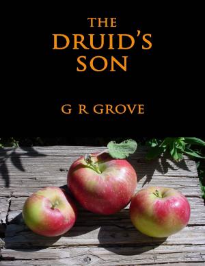 Book cover of The Druid's Son