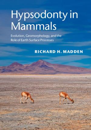 Cover of the book Hypsodonty in Mammals by Clare Anderson, Madhumita Mazumdar, Vishvajit Pandya