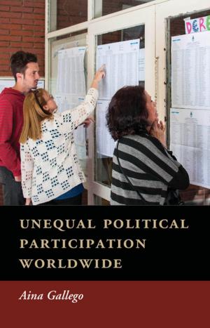 Cover of the book Unequal Political Participation Worldwide by Arye L. Hillman