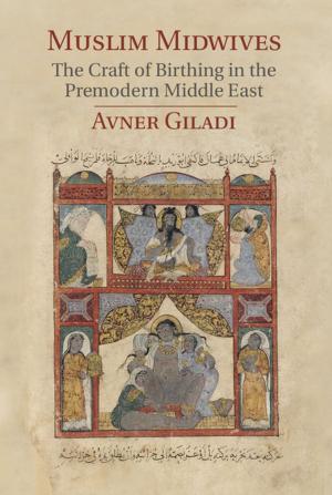 Cover of the book Muslim Midwives by J. W. Van Ooijen, J. Jansen