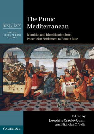 Cover of the book The Punic Mediterranean by Frank K. Ko, Yuqin Wan