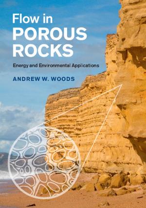 Cover of the book Flow in Porous Rocks by Professor Julián Casanova
