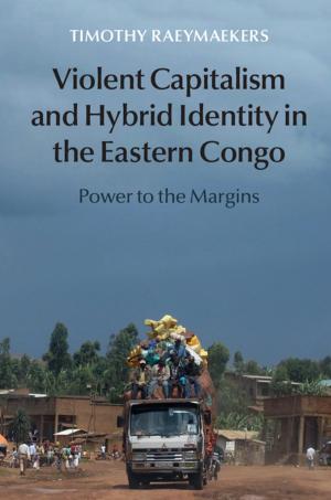 Cover of the book Violent Capitalism and Hybrid Identity in the Eastern Congo by Professor Roger W. Schmenner