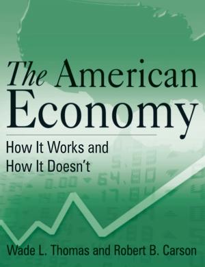 Cover of the book The American Economy by Derek Salkeld