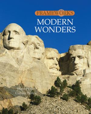 Book cover of Modern Wonders