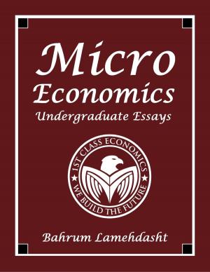 Book cover of Microeconomics - Undergraduate Essays and Revision Notes