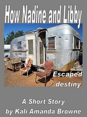 Book cover of How Nadine and Libby Escaped Destiny