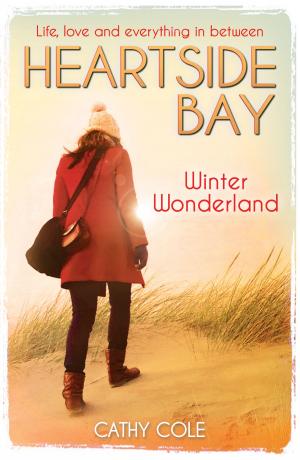 Book cover of Heartside Bay 12: Winter Wonderland