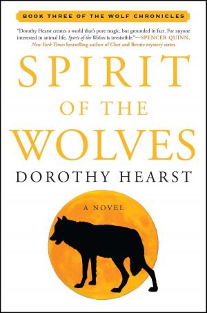 Cover of the book Spirit of the Wolves by Jeffery Deaver