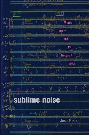 Cover of the book Sublime Noise by 