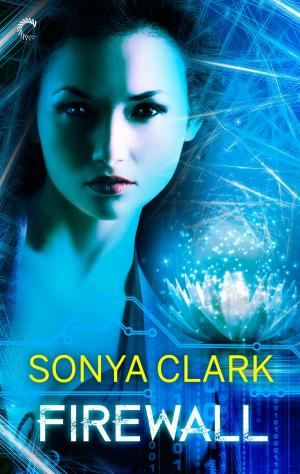 Cover of the book Firewall by Samantha Ann King