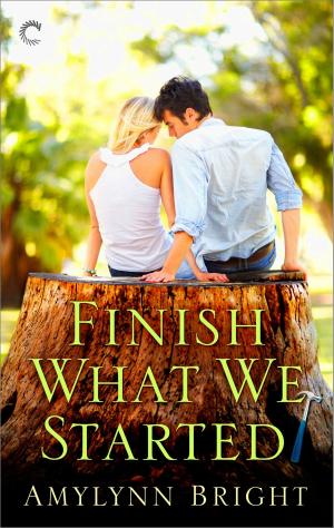 Cover of the book Finish What We Started by Lucy Parker